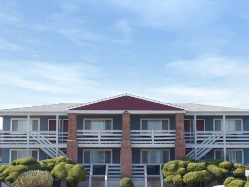 Imagen de la habitación del Hotel Born Free. Foto 2