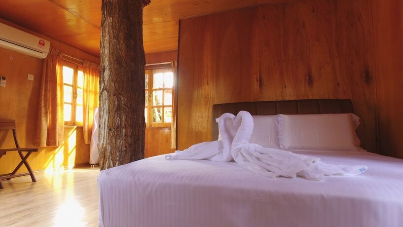 Imagen general del Hotel Borneo Tree House. Foto 17