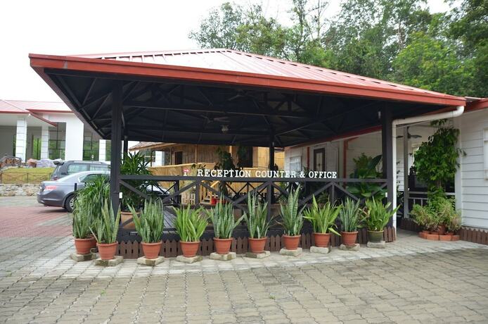 Imagen de los interiores del Hotel Borneo Tree House. Foto 19