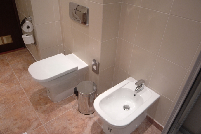 Imagen de la habitación del Hotel Borodino. Foto 3