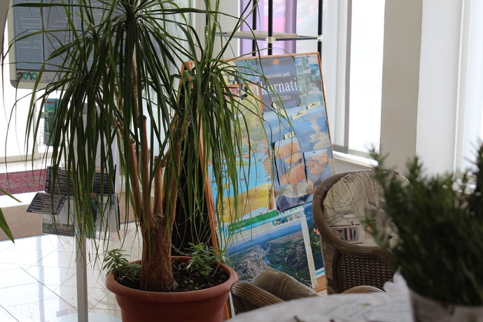 Imagen de los interiores del Hotel Borovnik. Foto 9