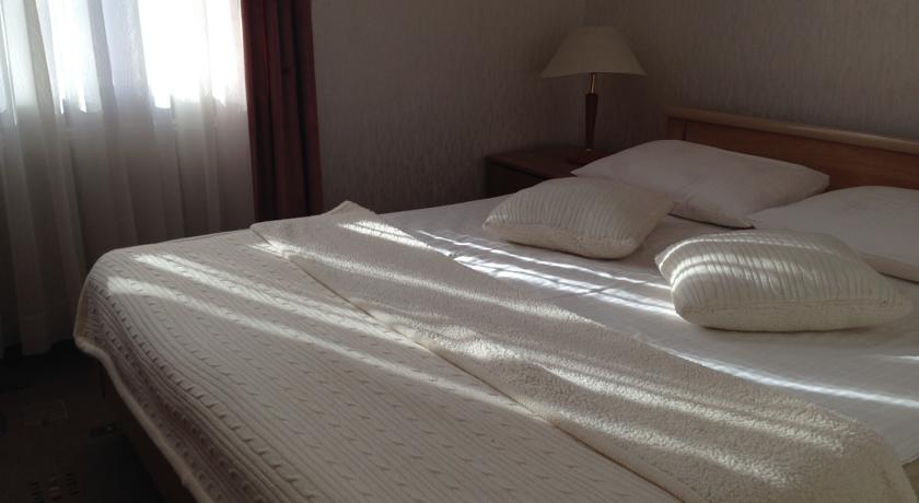 Imagen de la habitación del Hotel Borovnitsa Hotel. Foto 7