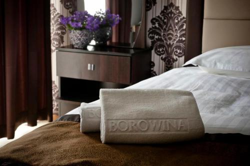 Imagen general del Hotel Borowina. Foto 3