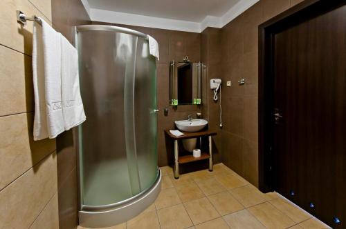 Imagen general del Hotel Borowina. Foto 4