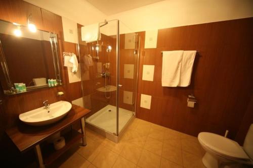 Imagen de la habitación del Hotel Borowina. Foto 7