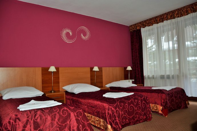 Imagen de la habitación del Hotel Boruta, ZAKOPANE. Foto 13