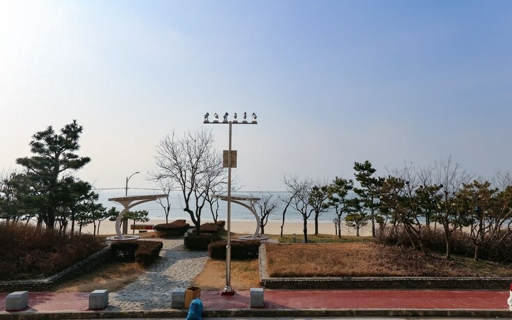 Imagen de la habitación del Hotel Boryeong Haesu. Foto 12