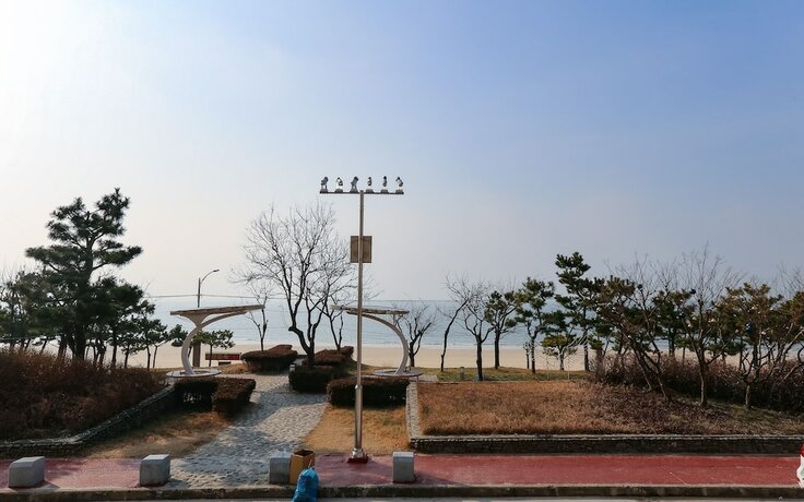 Imagen de la habitación del Hotel Boryeong Haesu. Foto 13