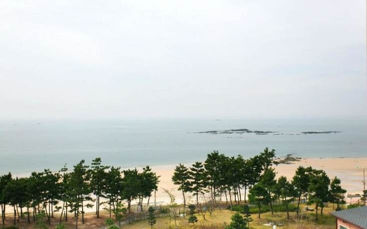 Imagen general del Hotel Boryeong Island. Foto 4