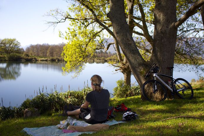 Imagen de los exteriores del Hotel Boschendal Farm Estate. Foto 11