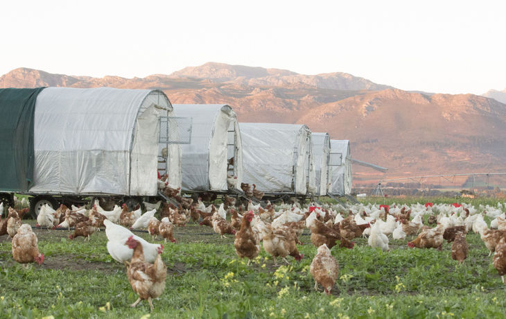 Imagen de los exteriores del Hotel Boschendal Farm Estate. Foto 12