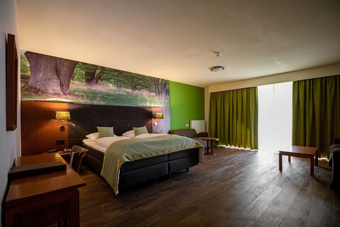 Imagen de la habitación del Hotel Boshotel Vlodrop. Foto 6