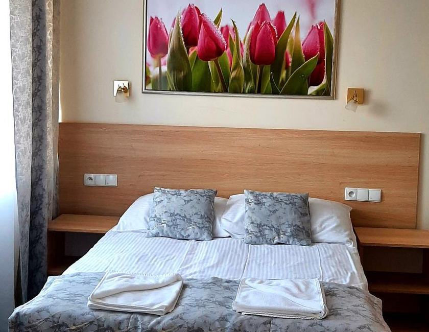 Imagen general del Hotel Bosir. Foto 2