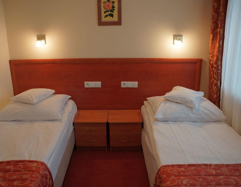 Imagen general del Hotel Bosir. Foto 5