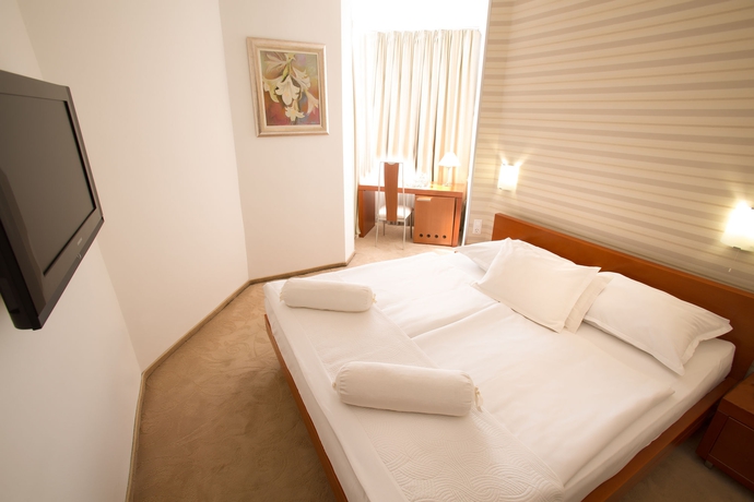 Imagen de la habitación del Hotel Bosnia. Foto 11