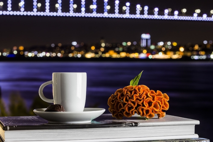 Imagen de la habitación del Hotel Bosphorus Palace - Special Class. Foto 12