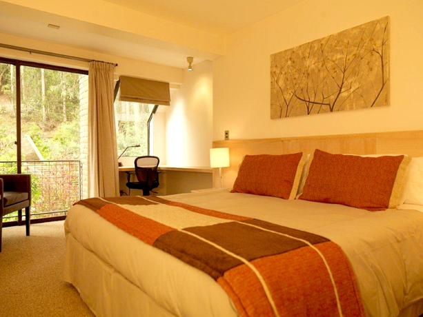 Imagen de la habitación del Hotel Bosque De Reñaca. Foto 8