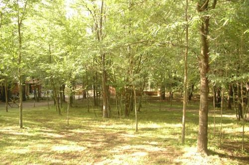 Imagen general del Hotel Bosque Encantado Caba&ntilde;as. Foto 7