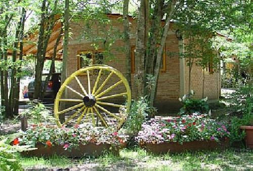 Imagen general del Hotel Bosque Encantado Caba&ntilde;as. Foto 9