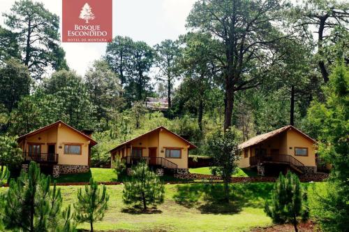 Imagen de la habitación del Hotel Bosque Escondido. Foto 13