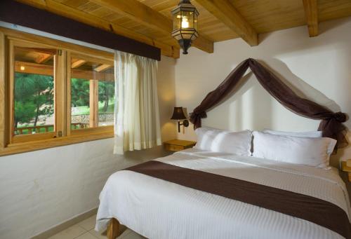 Imagen general del Hotel Bosque Escondido. Foto 1