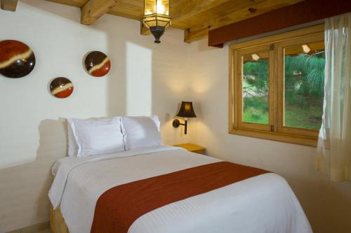 Imagen general del Hotel Bosque Escondido. Foto 2