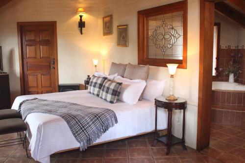 Imagen general del Hotel Bosque Escondido. Foto 5