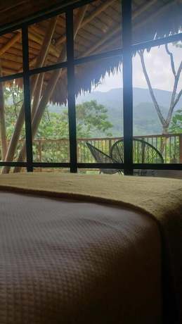 Imagen de la habitación del Hotel Bosque Guardian Lodge. Foto 8