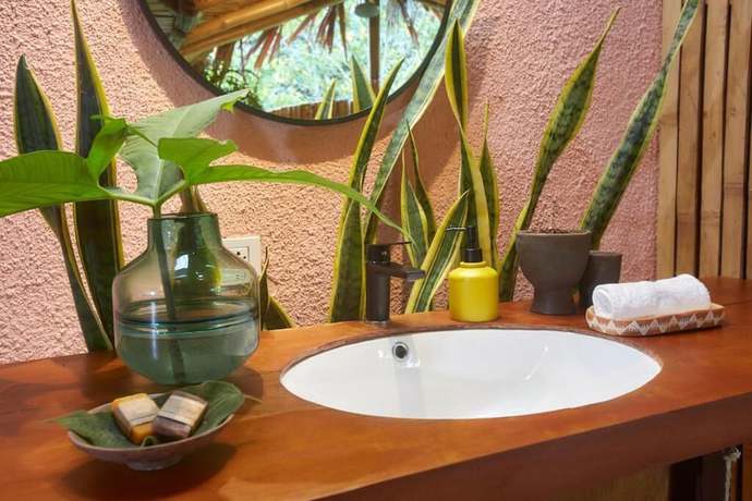 Imagen de la habitación del Hotel Bosque Guardian Lodge. Foto 10