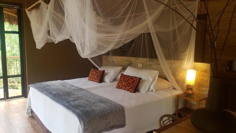 Imagen de la habitación del Hotel Bosque Guardian Lodge. Foto 13