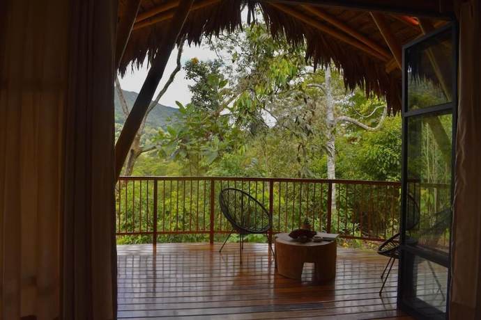 Imagen de la habitación del Hotel Bosque Guardian Lodge. Foto 15