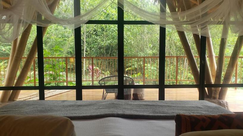 Imagen de la habitación del Hotel Bosque Guardian Lodge. Foto 16