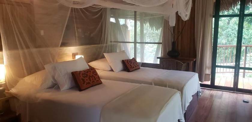 Imagen de la habitación del Hotel Bosque Guardian Lodge. Foto 19