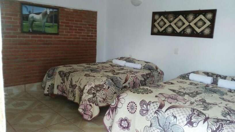 Imagen general del Hotel Bosque Magico. Foto 11