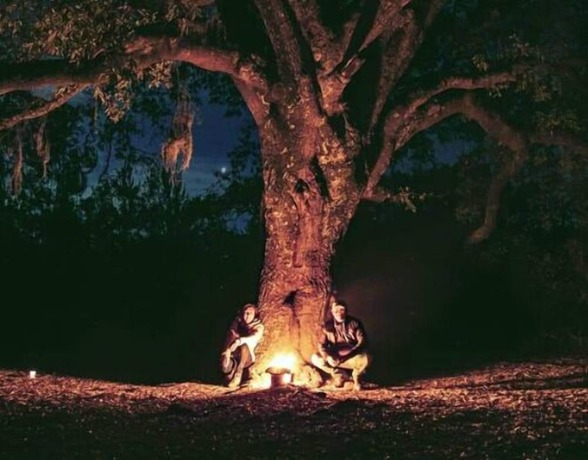 Imagen general del Hotel Bosque Magico. Foto 14