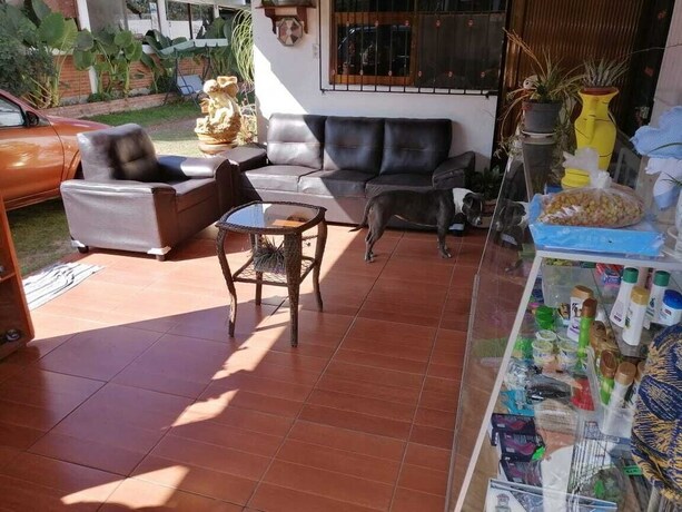 Imagen general del Hotel Bosque Magico. Foto 15