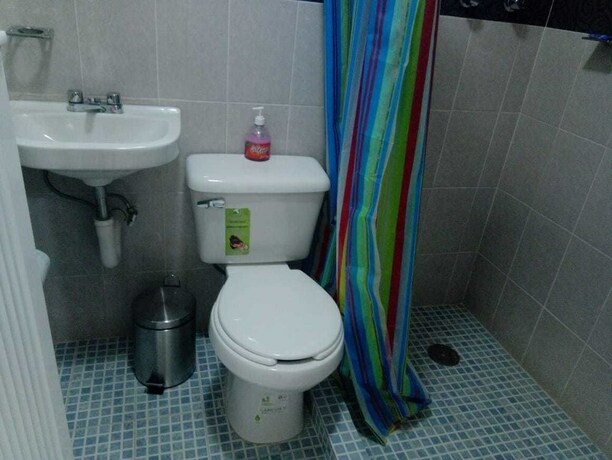 Imagen de la habitación del Hotel Bosque Magico. Foto 25