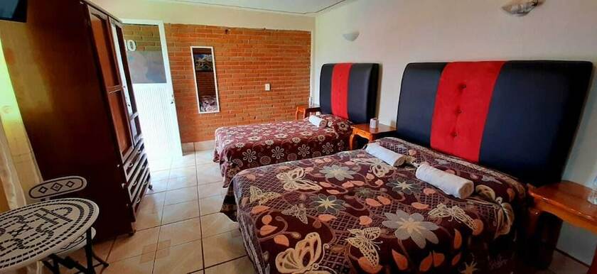 Imagen de la habitación del Hotel Bosque Magico. Foto 27