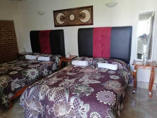 Imagen de la habitación del Hotel Bosque Magico. Foto 29