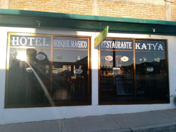 Imagen de los interiores del Hotel Bosque Magico. Foto 36