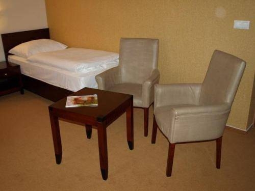 Imagen general del Hotel Boss, Zilina. Foto 16