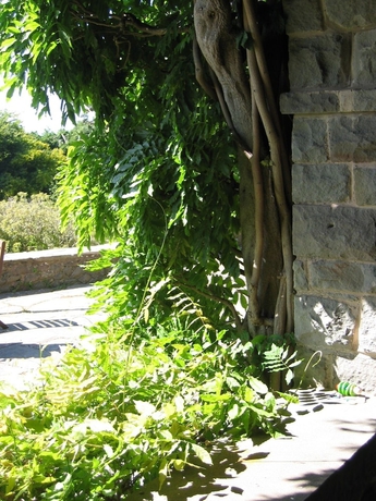 Imagen de los interiores del Hotel Bossington Hall. Foto 16