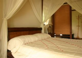 Imagen de la habitación del Hotel Botanic Resort. Foto 5