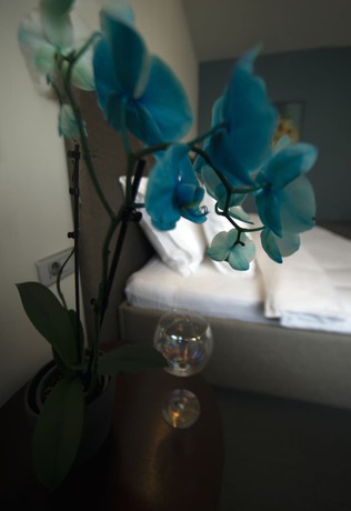 Imagen de la habitación del Hotel Botanica Art. Foto 5