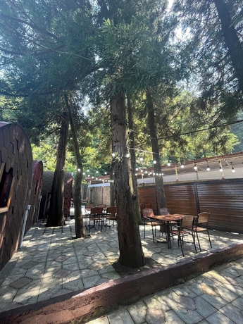 Imagen de la habitación del Hotel Botanico Kvariati. Foto 14