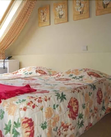 Imagen de la habitación del Hotel Botaniek. Foto 6