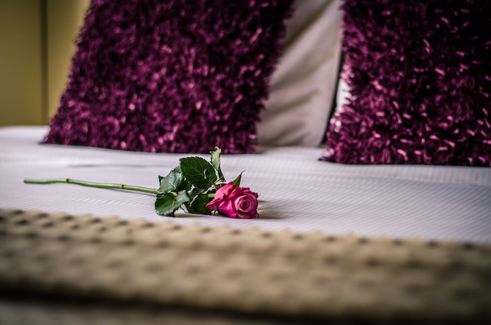 Imagen de la habitación del Hotel Botaniek. Foto 13