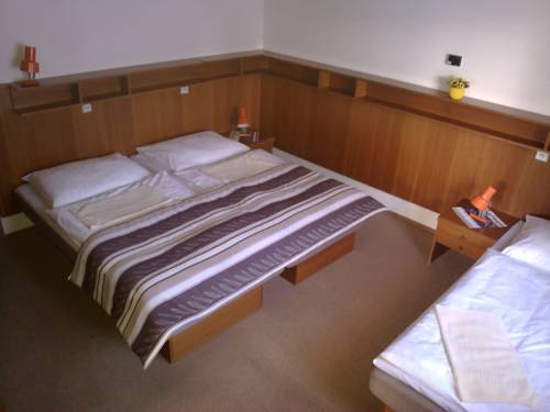 Imagen de la habitación del Hotel Bouda Jana. Foto 4