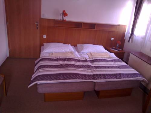 Imagen de la habitación del Hotel Bouda Jana. Foto 8