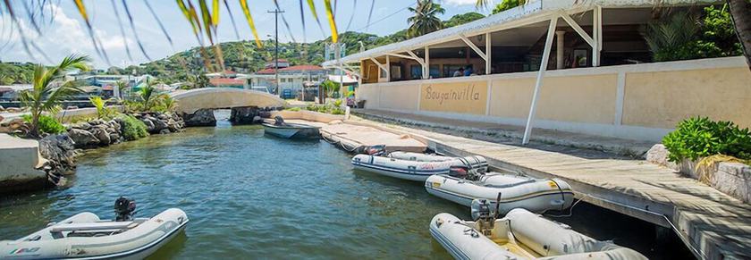 Imagen de los exteriores del Hotel Bougainvilla. Foto 15